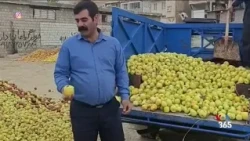 بحران قیمت‌ها در ایران؛ میوه و سبزی هم در حال حذف از سبد غذایی مردم