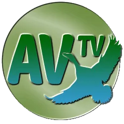 Ави тв. ТВ каналы. Телевизор логотип. TV av. Телеканал 100 ТВ.