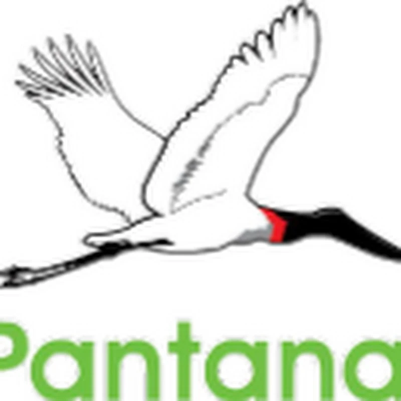 TV Pantanal MS logo