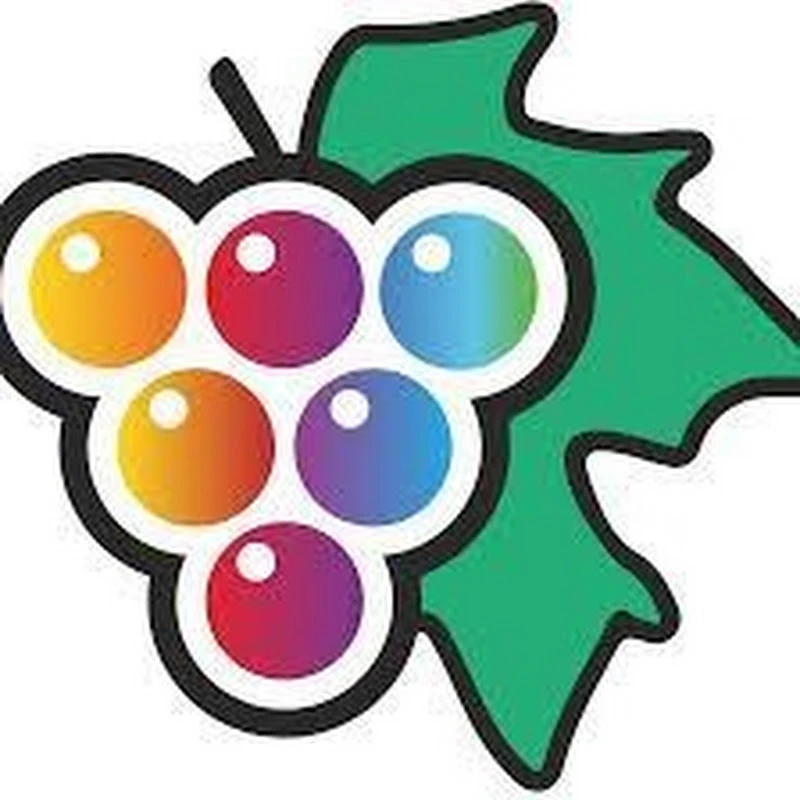 Manisa Medya TV logo