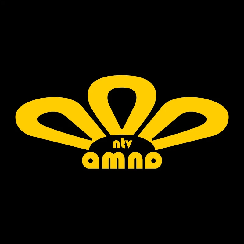 NTV Amna logo