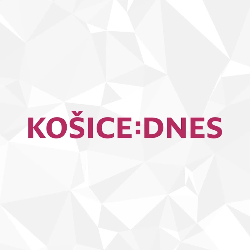 TV Naša – Košice logo