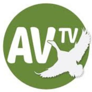 Av Tv