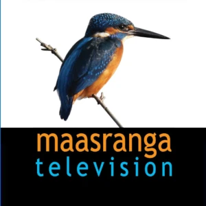 Maasranga Television