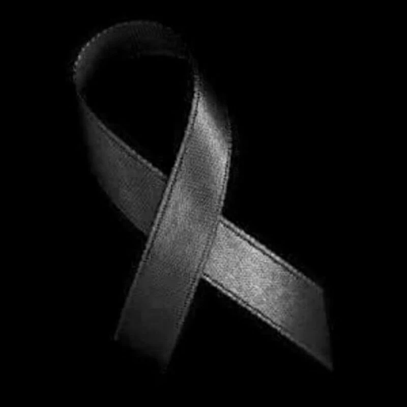 Transilvania TV logo