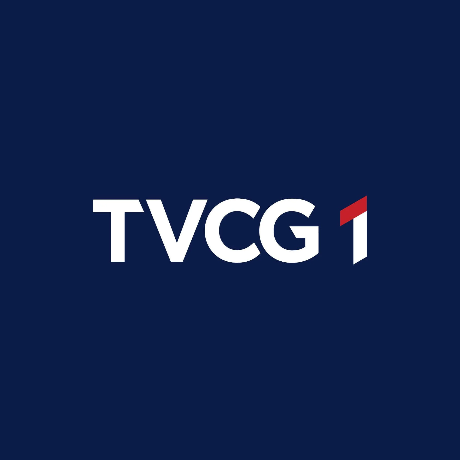 TVCG 1