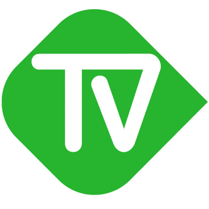 TV Valkenburg logo