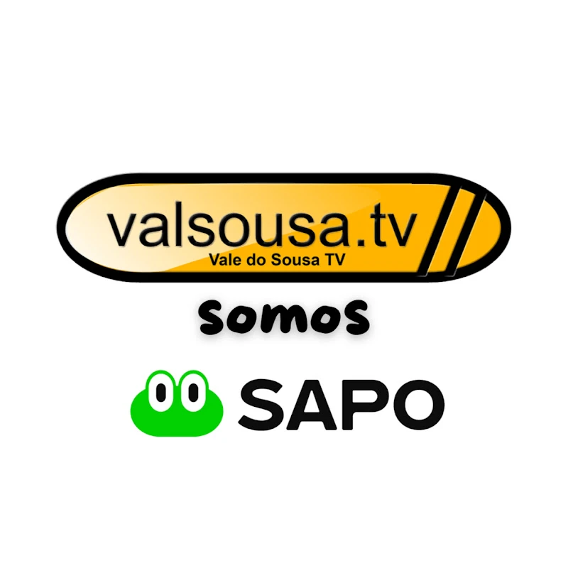 Vale do Sousa TV logo